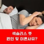 섹슬리스 뜻 원인 이혼사유