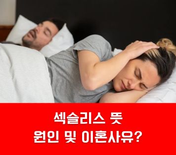 섹슬리스 뜻 원인 이혼사유