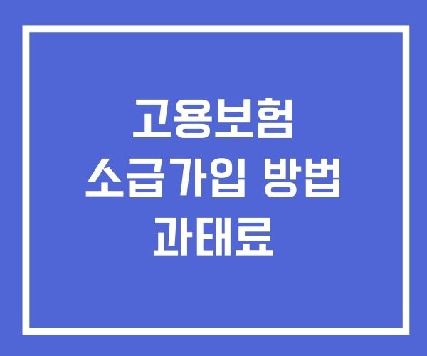 고용보험 소급가입 방법 과태료