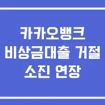 카카오뱅크 비상금대출 거절 소진 연장