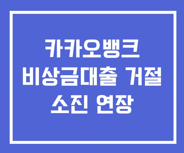 카카오뱅크 비상금대출 거절 소진 연장